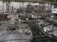 Summer Vacation 2018-169  Huge vats of cheese being made - YUM